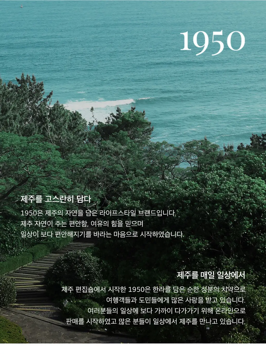 [무불소] 1950 제주 치약 기획 100g*5개입 상세페이지 11